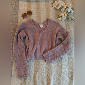 Wild Fable Lavender V-Neck Sweater